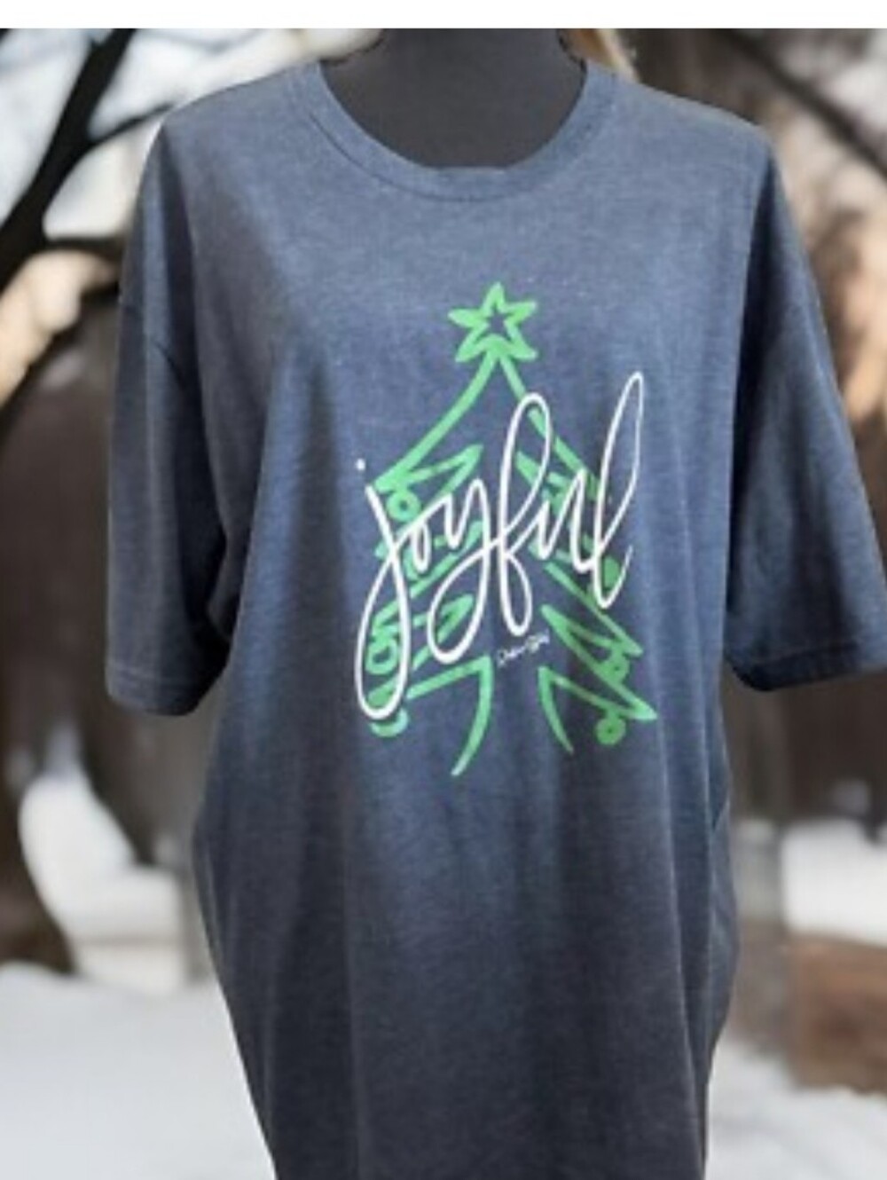 Next Level Winter Holiday Graphic Short Sleeve Tee - Large
